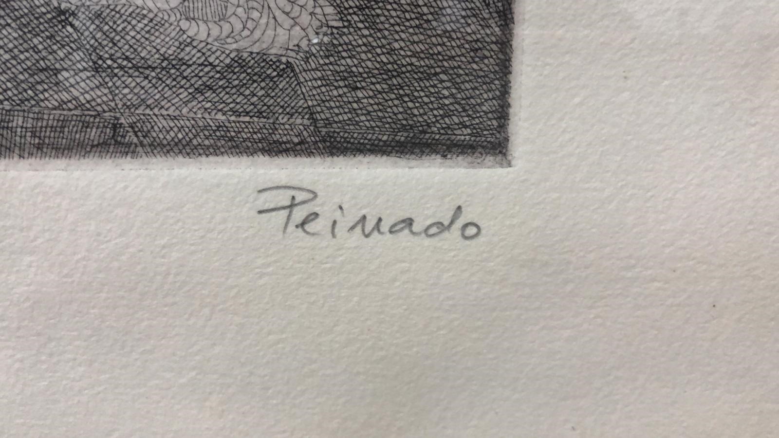 La mecedora y el fantasma - Francisco Peinado - Imagen 4