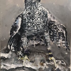 Águila - Santiago Ydáñez