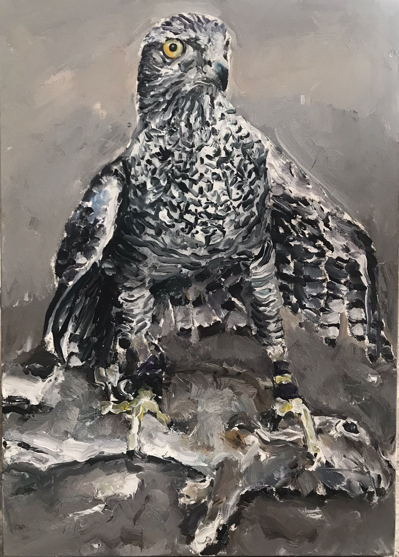 Águila - Santiago Ydáñez
