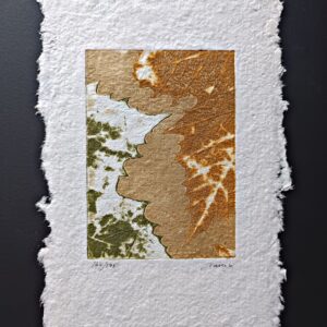 Naturaleza Viva - Jose Carlos Naranjo